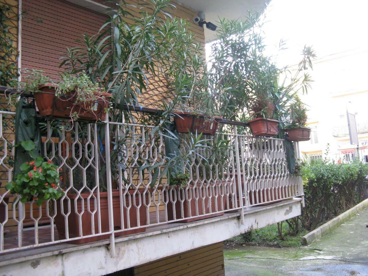 Le Stanze Di Ginevra - Via Tescione Hotel Caserta Eksteriør billede